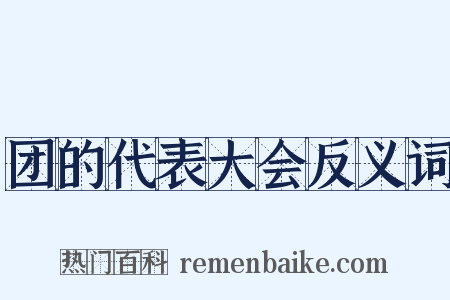 团的代表大会反义词是什么意思的图片